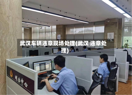 武汉车辆违章现场处理(武汉 违章处理)