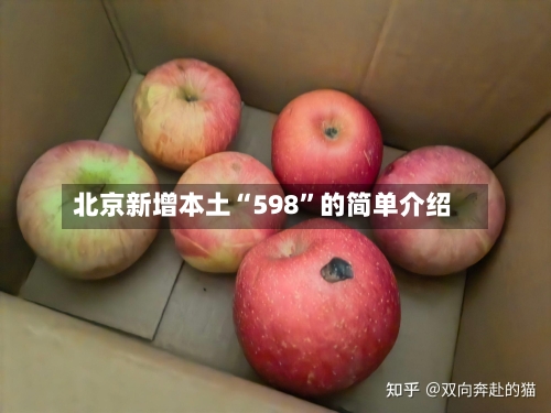 北京新增本土“598	”的简单介绍-第2张图片
