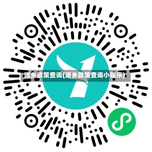 返乡政策查询(返乡政策查询小程序)