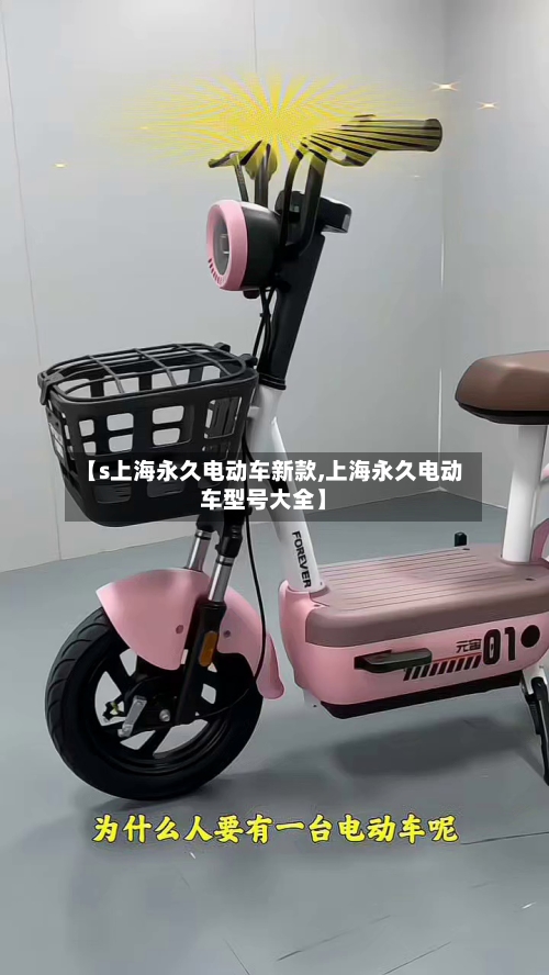 【s上海永久电动车新款,上海永久电动车型号大全】