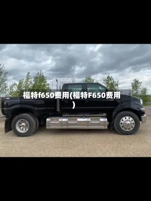 福特f650费用(福特F650费用)-第2张图片