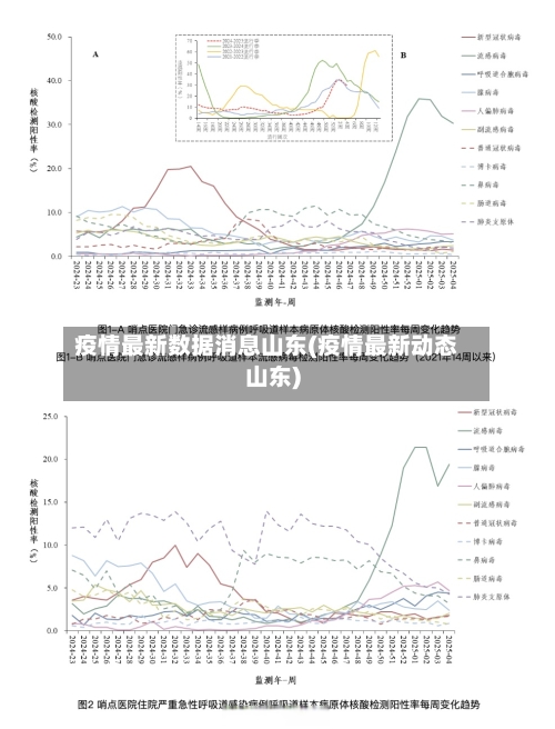 疫情最新数据消息山东(疫情最新动态山东)