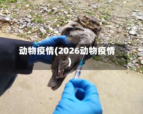 动物疫情(2026动物疫情)-第3张图片