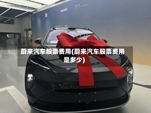 蔚来汽车股票费用(蔚来汽车股票费用是多少)-第2张图片