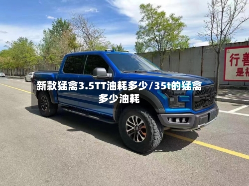 新款猛禽3.5TT油耗多少/35t的猛禽多少油耗-第2张图片