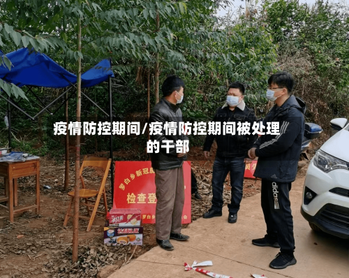 疫情防控期间/疫情防控期间被处理的干部