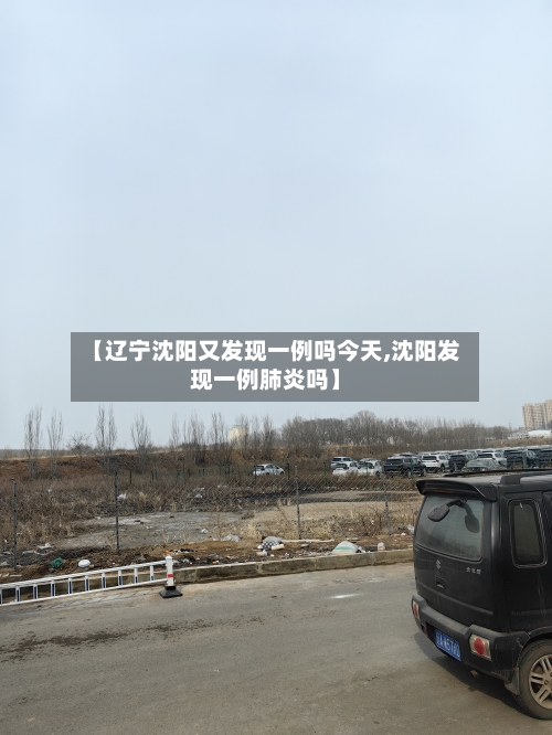 【辽宁沈阳又发现一例吗今天,沈阳发现一例肺炎吗】