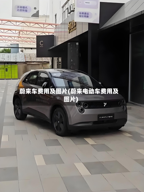 蔚来车费用及图片(蔚来电动车费用及图片)-第2张图片