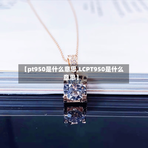 【pt950是什么意思,LCPT950是什么意思】