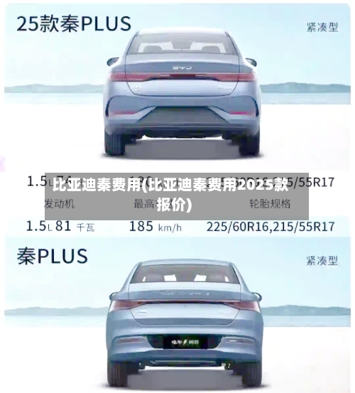 比亚迪秦费用(比亚迪秦费用2025款报价)-第2张图片