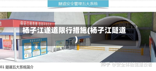 杨子江遂道限行措施(杨子江隧道)