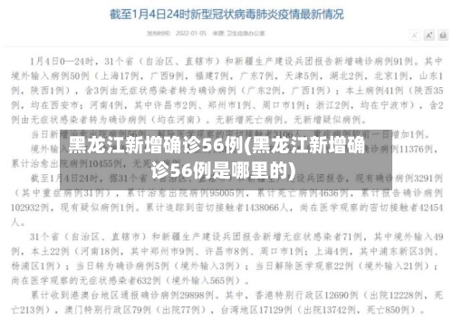 黑龙江新增确诊56例(黑龙江新增确诊56例是哪里的)