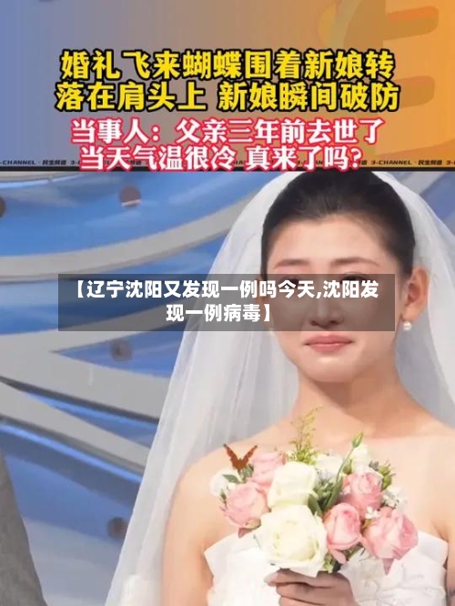 【辽宁沈阳又发现一例吗今天,沈阳发现一例病毒】