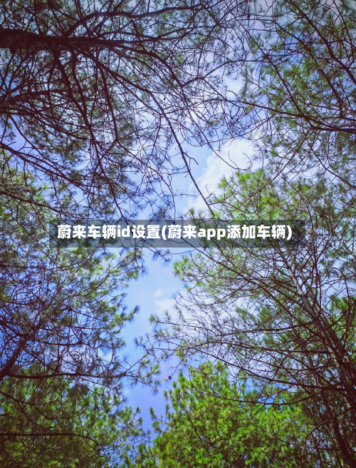 蔚来车辆id设置(蔚来app添加车辆)-第2张图片