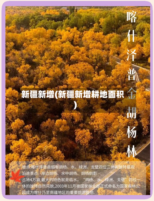 新疆新增(新疆新增耕地面积)-第2张图片