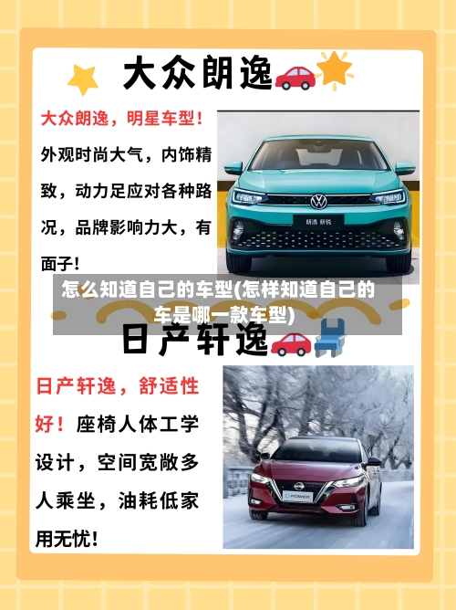怎么知道自己的车型(怎样知道自己的车是哪一款车型)-第2张图片