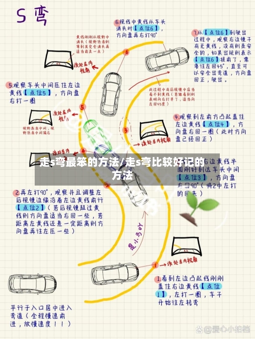 走s弯最笨的方法/走s弯比较好记的方法