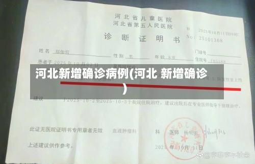 河北新增确诊病例(河北 新增确诊)-第2张图片