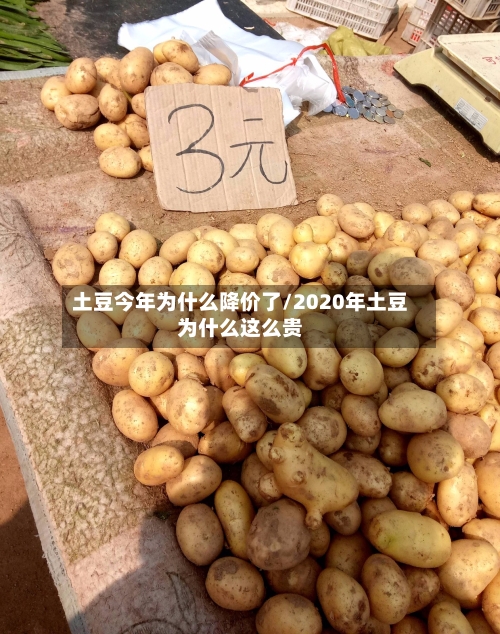 土豆今年为什么降价了/2020年土豆为什么这么贵