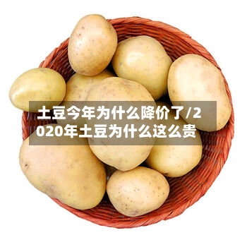 土豆今年为什么降价了/2020年土豆为什么这么贵-第2张图片
