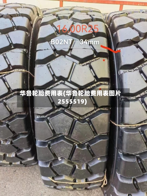 华鲁轮胎费用表(华鲁轮胎费用表图片2555519)-第3张图片