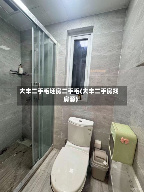 大丰二手毛坯房二手毛(大丰二手房找房源)-第3张图片