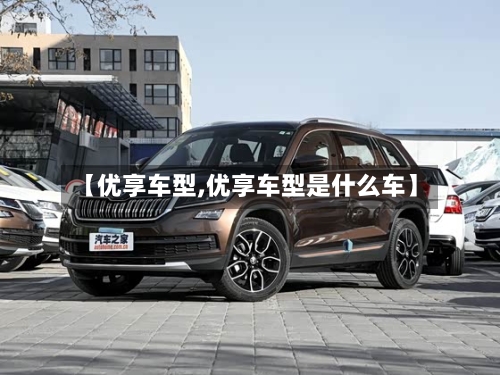 【优享车型,优享车型是什么车】-第2张图片