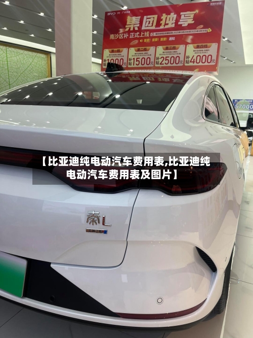 【比亚迪纯电动汽车费用表,比亚迪纯电动汽车费用表及图片】