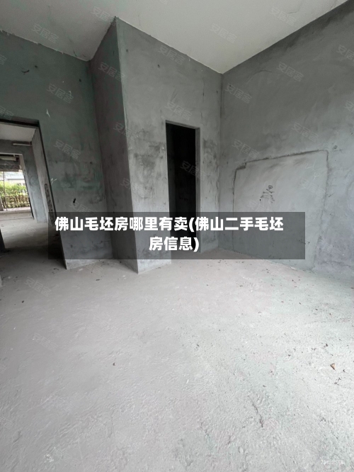 佛山毛坯房哪里有卖(佛山二手毛坯房信息)
