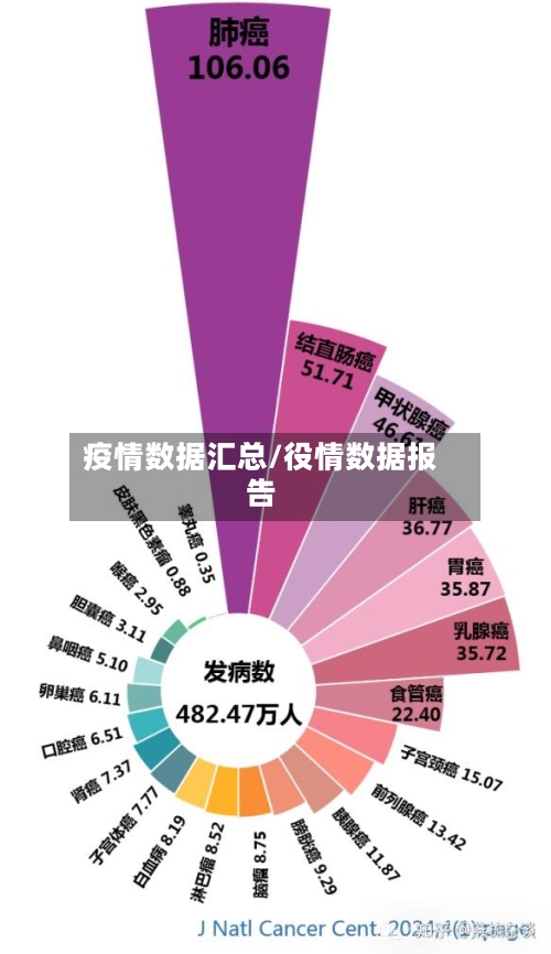 疫情数据汇总/役情数据报告