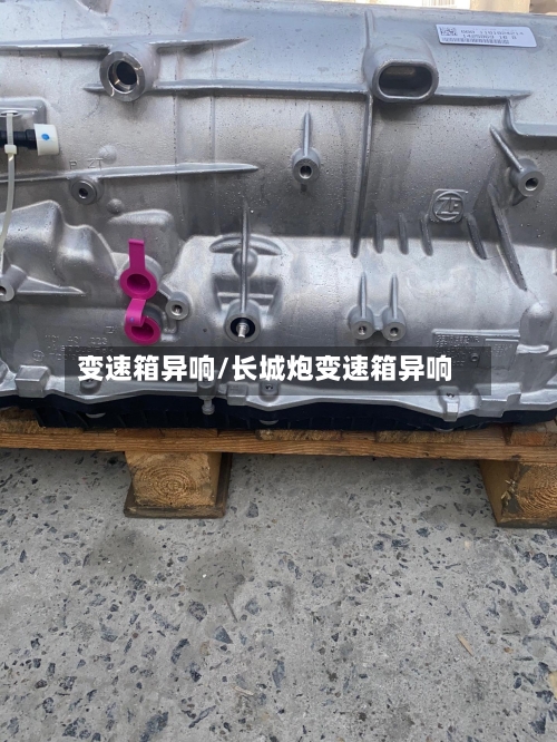 变速箱异响/长城炮变速箱异响-第3张图片