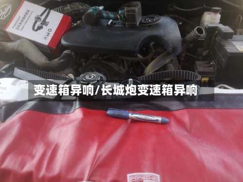 变速箱异响/长城炮变速箱异响