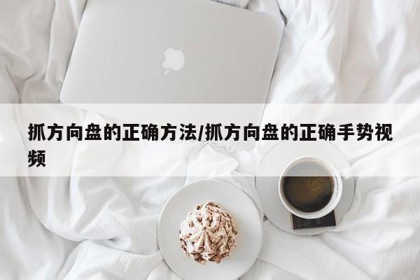 抓方向盘的正确方法/抓方向盘的正确手势视频